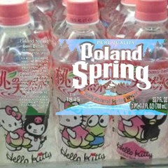 POLAND SPRING prod. camel_bleu