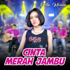 Cinta Merah Jambu