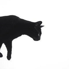 YOU DONE FUCKED IT UP.