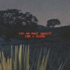 can we meet again?