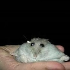 Dandelions (Cover by me) Vocals only