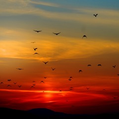 Are God's Holy Days Relevant Today?