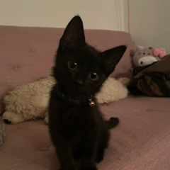 RISK TAKER (prod 9cyon)