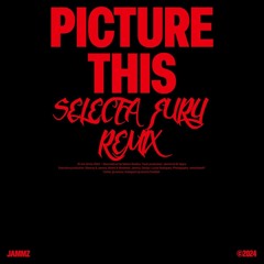 Jammz - Picture This (Selecta Fury Remix) .wav