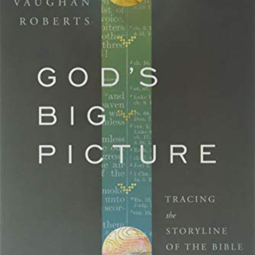 [Download] EBOOK ✅ God's Big Picture: Tracing the Storyline of the Bible by  Vaughan