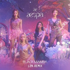 aespa - Black Mamba (L2K Remix)