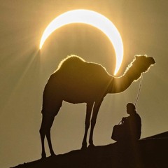 Psydub, dub,  psychill, chill_2