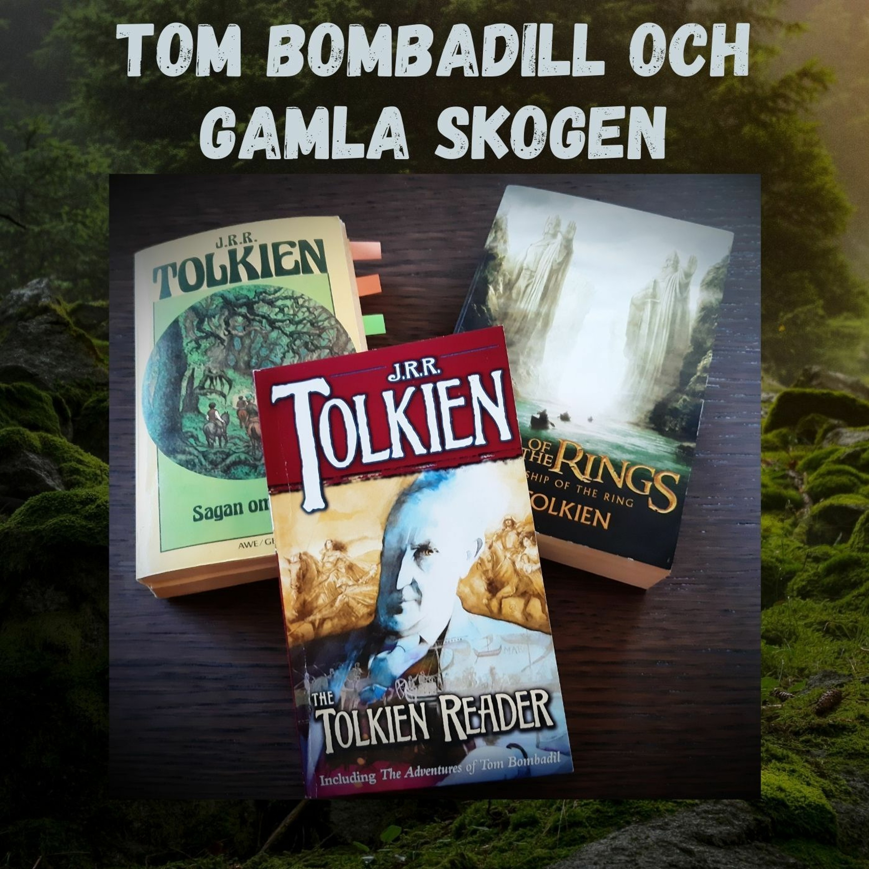 Mellan mörker och ljus