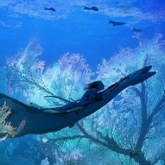 WAY OF WATER
