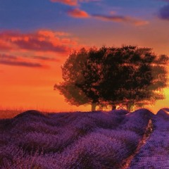 BWY ft. Pink Father & TimGetTheMoney