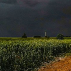 Summer Storm In Village