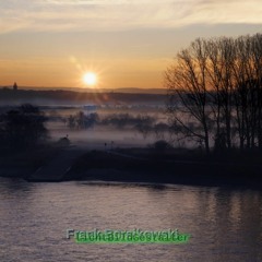 RheinNebel (Rhine fog)
