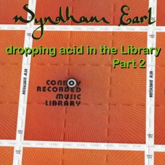 Mr Bongo Record Club Guest Mix - Wyndham Earl "Dropping Acid In The Library" Part 2