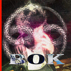 B.O.K FR33STYL3