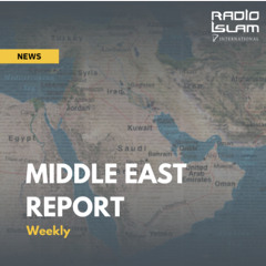 Middle East Report 07112025