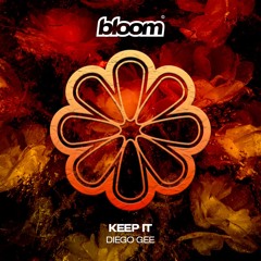 Diego Gee - Keep It