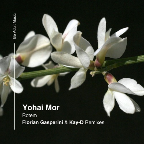 Yohai Mor - Rotem (Kay-D Remix) [Out 23rd Jan 2025]