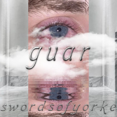 idgaf remix - guarfish (prod swordsofyorke)