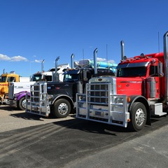 TRUCKING INSIDER: "Everything In the Country Is Going To Shutdown" If This Happens