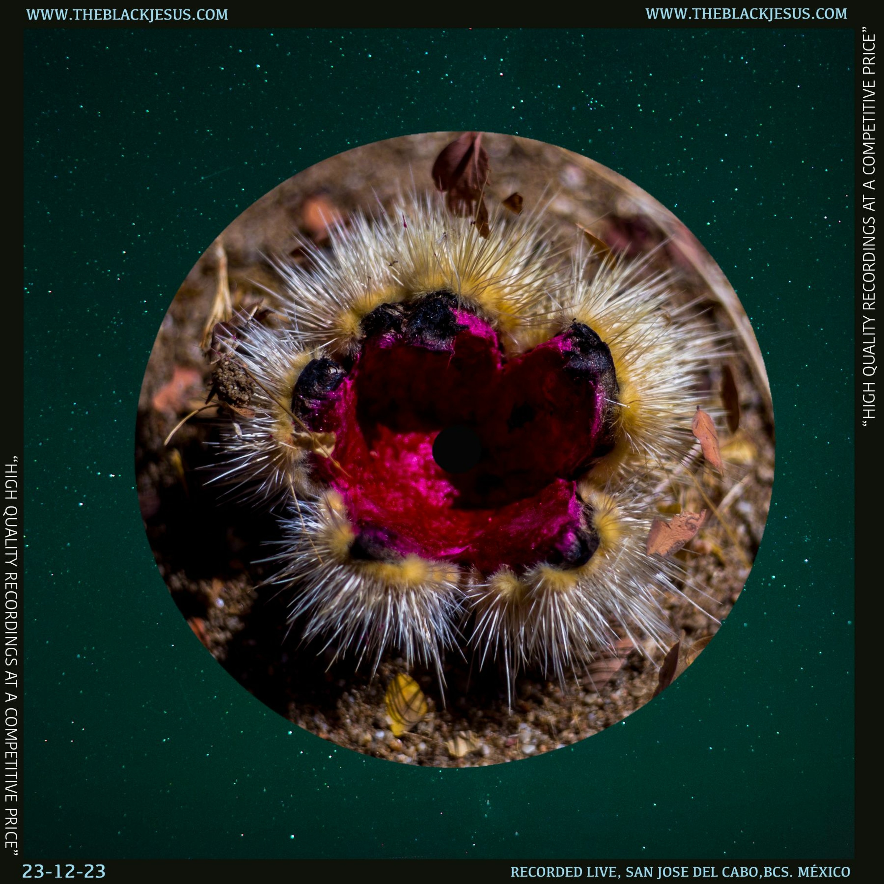 Recorded Live Mix - TheCelebration episode artwork