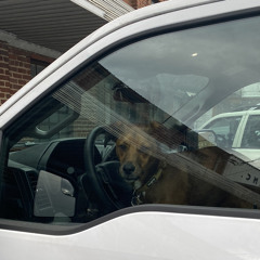 the scarlett empress by college   cover   - freestyle (feat. spanky)