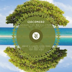 PREMIERE: Giocomero - Under The Bodhi Tree Feat. Falibia (Kurt Adam Remix) [Tibetania Records]