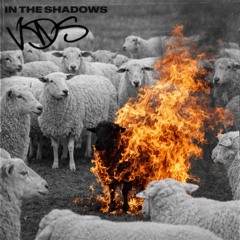 In The Shadows (Closing mix)