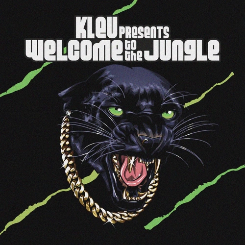 Artwork for the song Kleu - Got The Feeling by Jungle Cakes on Next Sound