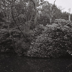 방울 / droplet