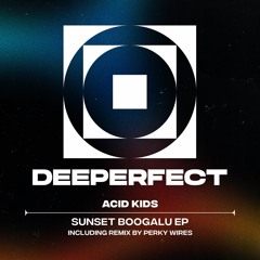 Acid Kids - Make Our Love Go [Deeperfect]