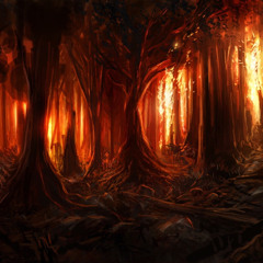 Hyoscyamus (Night)