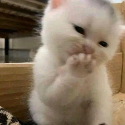 Anh Cũng Biết Buồn