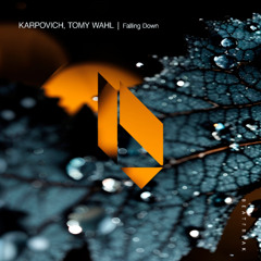 KARPOVICH, Tomy Wahl - Falling Down (Original Mix)