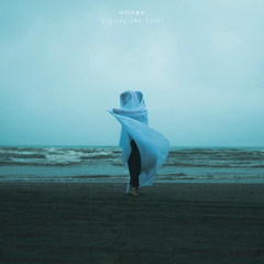 Lifting the Veil