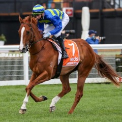 Ipswich Cup Day Punting Preview