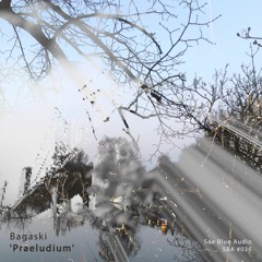 'Praeludium' (preview) - Bagaski (See Blue Audio SBA #036)