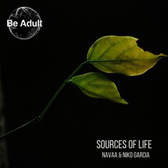 Navaa & Niko Garcia - Source Of Life (Original Mix)
