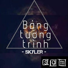 Bảng Tường Trình - Skyler