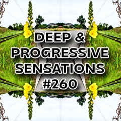 Deep & Progressive Sensations #260 | Imigwaqo