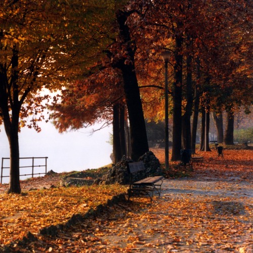 November