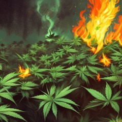 KoolAhhKam & Quietstormarc - FYE!