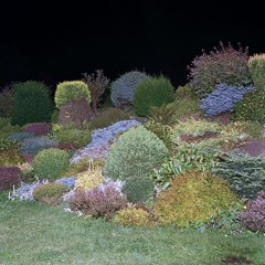 weirdcore/dreamcore playlist