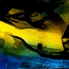 Enter the Flow (Wil Greenstreet-alto sax, piano, bass--jim-drums)