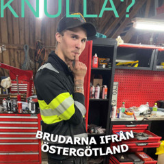 Skåne möter Östergötland #pysklir #lirahora