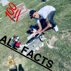 NezCapone - All Facts