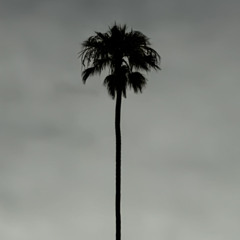 Heads will Sway -- Vol. 1