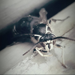 On the side of a road