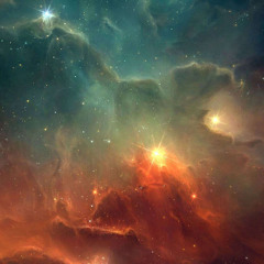 The Fall (Work in progress)