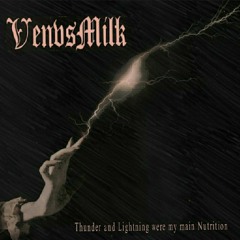 VenvsMilk - And the Rain Sounds like if the Sky was Falling Through It