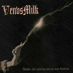 VenvsMilk - And the Rain Sounds like if the Sky was Falling Through It